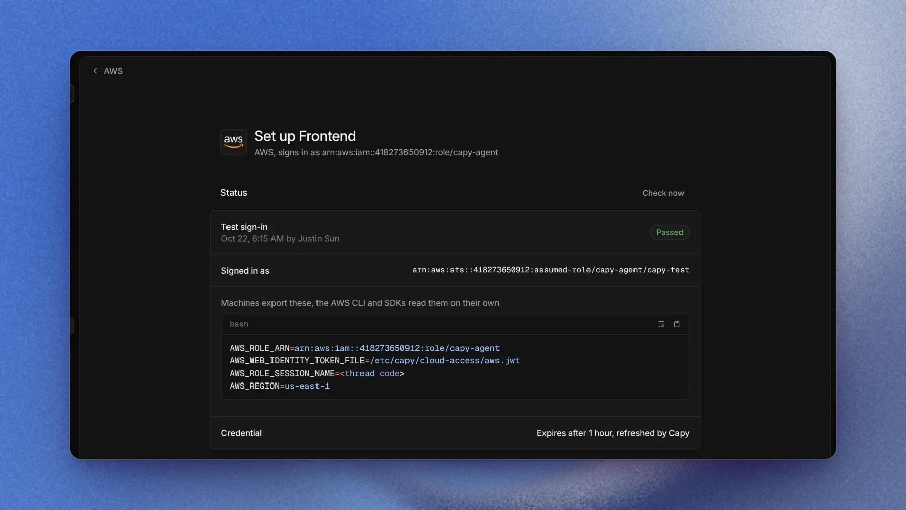 AWS status card with a passed test sign-in, the assumed-role ARN, and the variables machines export
