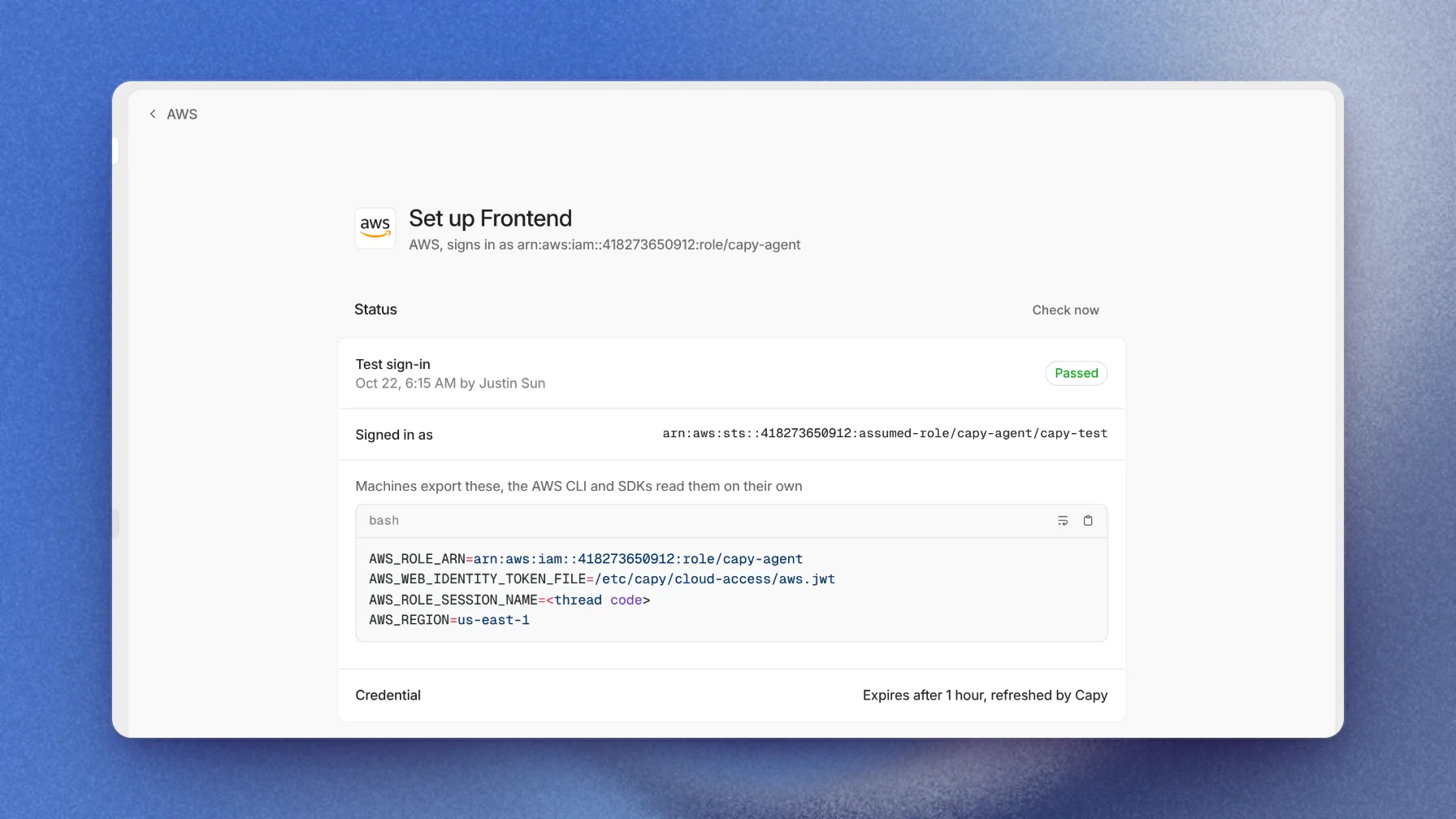 AWS status card with a passed test sign-in, the assumed-role ARN, and the variables machines export