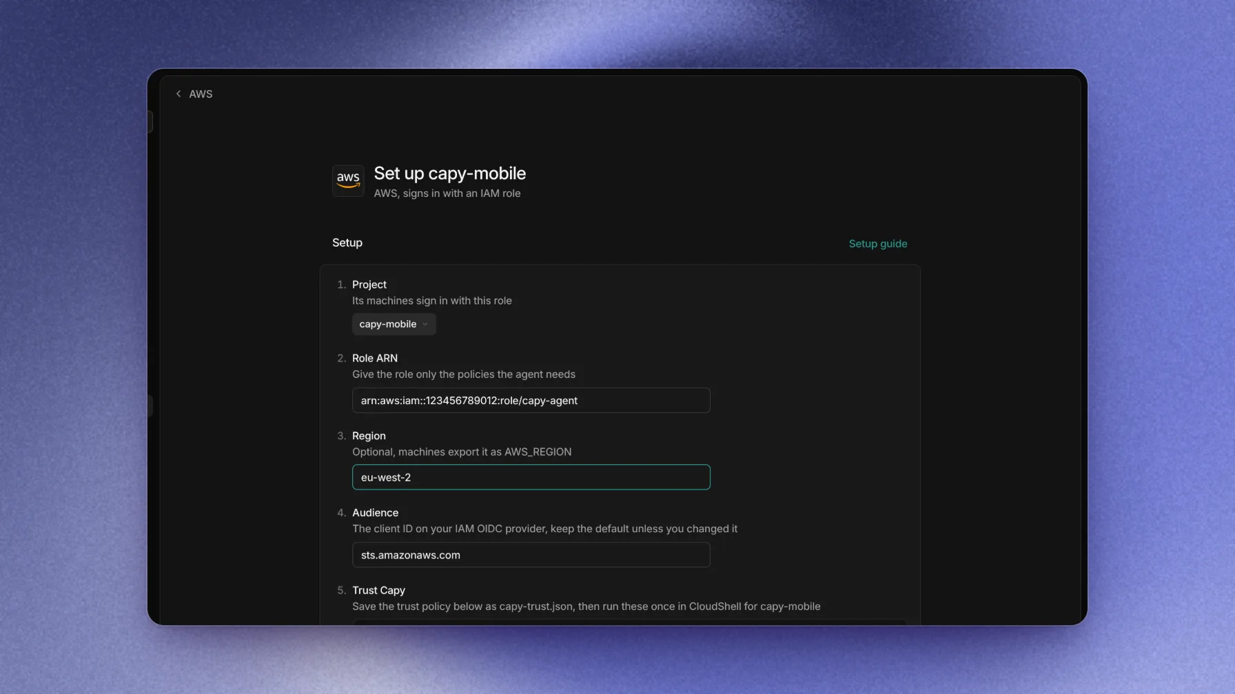 AWS setup with the project, role ARN, region, and audience filled in