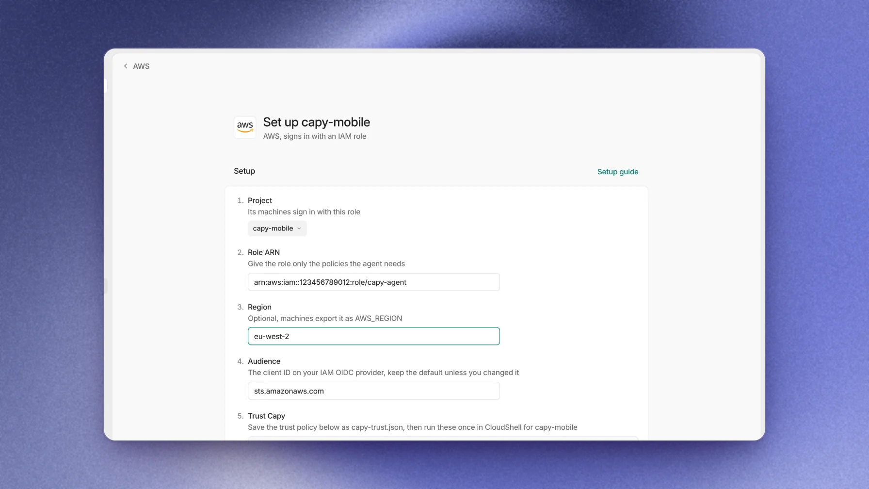 AWS setup with the project, role ARN, region, and audience filled in