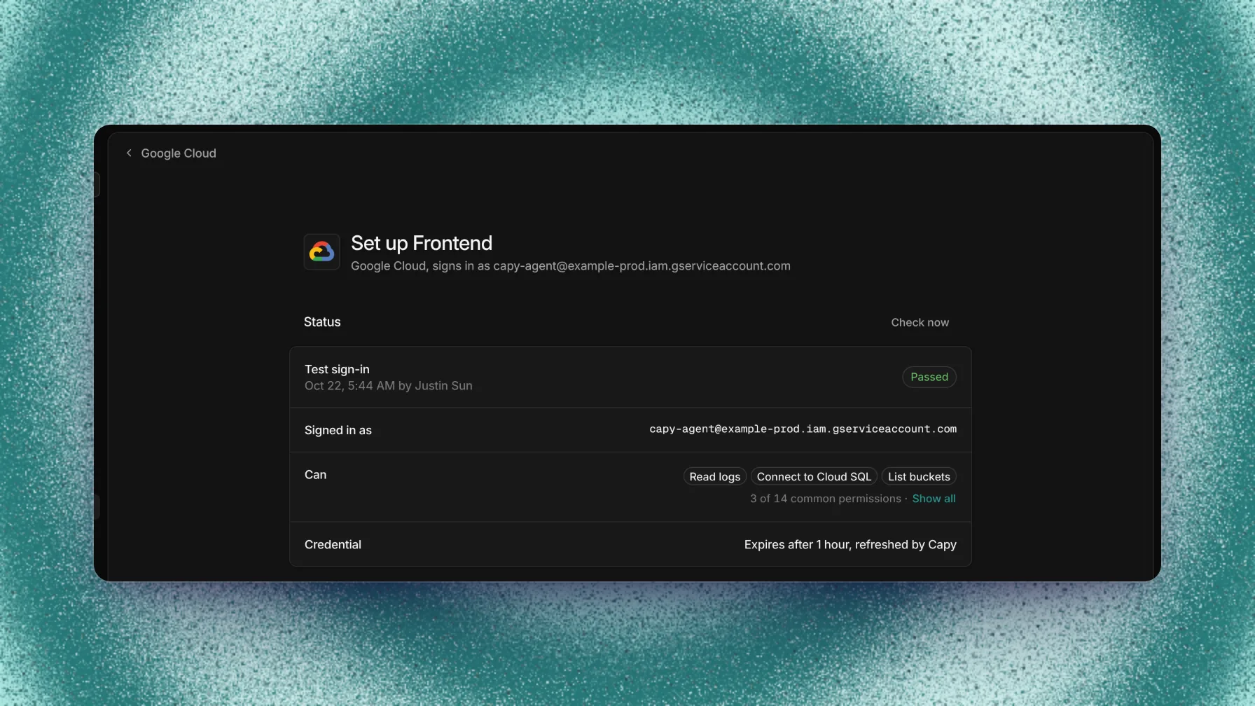 Google Cloud status card with a passed test sign-in, the service account, and the granted permissions