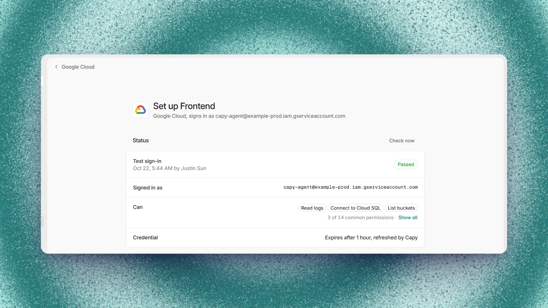 Google Cloud status card with a passed test sign-in, the service account, and the granted permissions