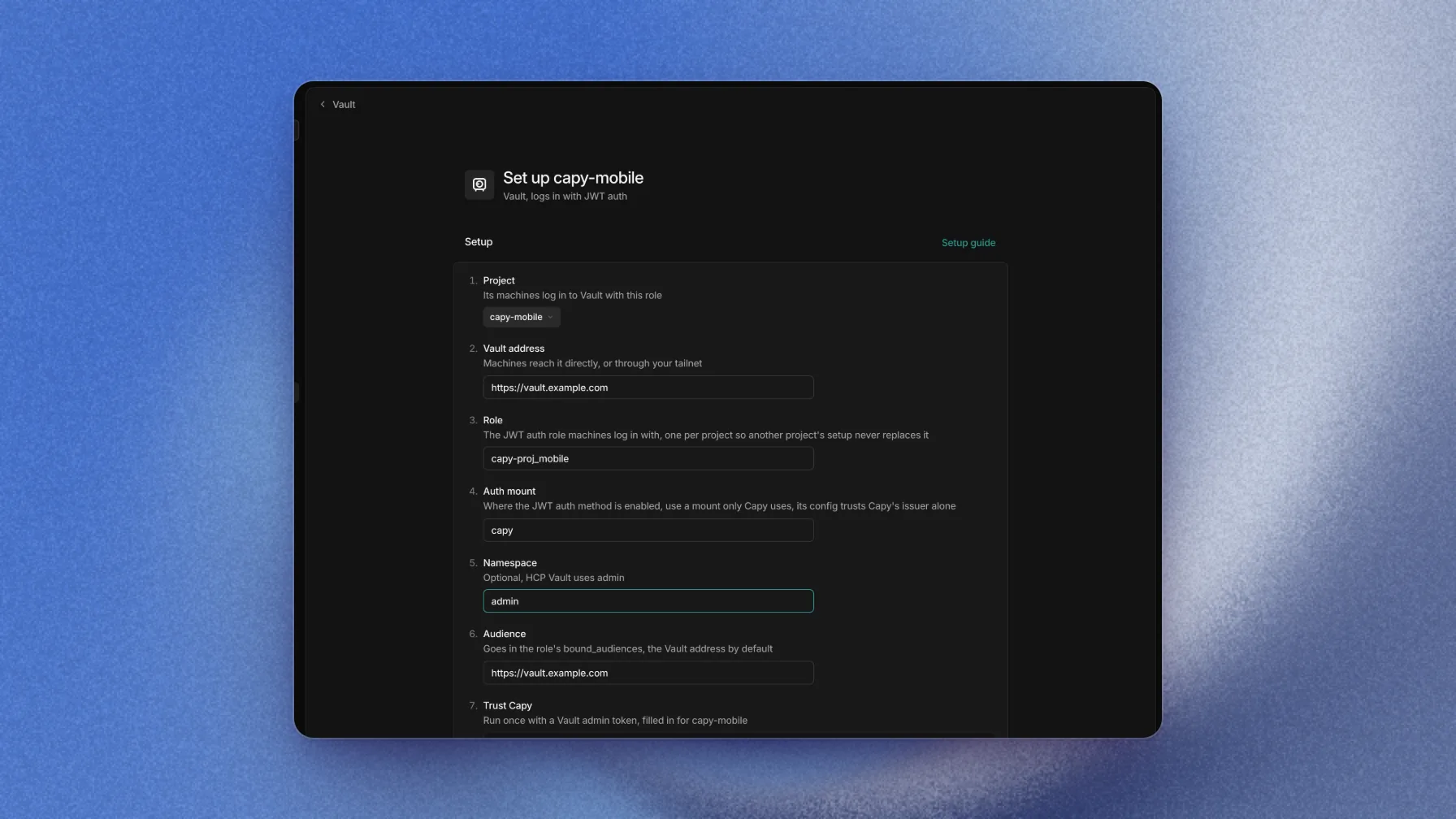 Vault setup with the project, Vault address, role, auth mount, namespace, and audience