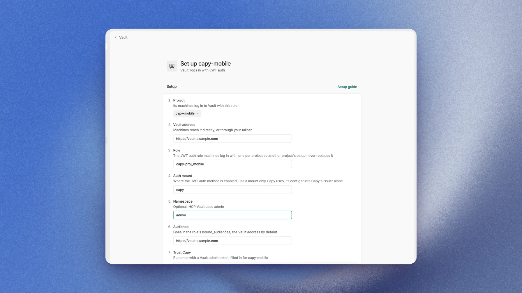 Vault setup with the project, Vault address, role, auth mount, namespace, and audience
